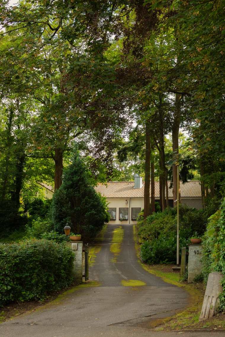 A blacktop driveway leading through trees to a house